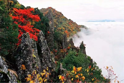 【安康】南宮山+香溪洞、安康博物館兩日游